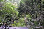 DSC_6173.jpg