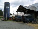 IMG 0038