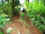 IMG 0067
