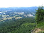 IMG 0106