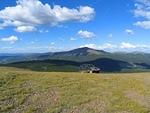 IMG 0079