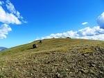IMG 0086