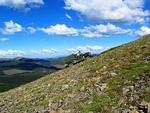IMG 0091