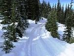 IMG 0023
