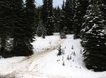 IMG 0045