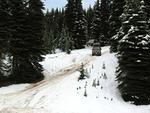 IMG 0047