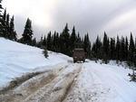 IMG 0084