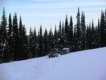 IMG 0085