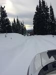 IMG 1921