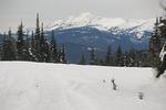 DSC_6687.jpg