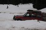DSC_6695.jpg
