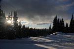 DSC_6716.jpg