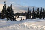 DSC_6717.jpg