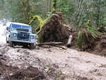 Mud glorious mud ...