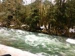 IMG 9077