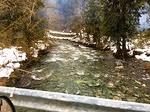 IMG 9096