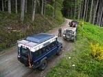 IMG 0018