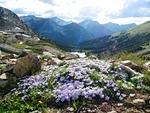 IMG 0095