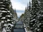 Martin's Cabin Lake Photos Oct 2017