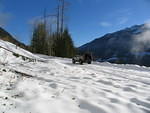 IMG 0021