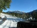 IMG 0030