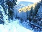 IMG 0048