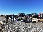 IMG 0434