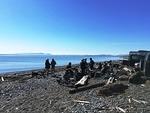 IMG 0439