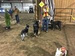 IMG 2783