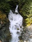 IMG 0045