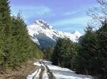 IMG 0534