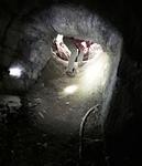 IMG 1275