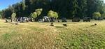IMG 8416 DM