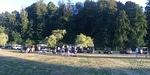 IMG 8419 DM