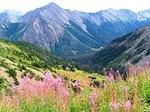 Andy's High Country Adventure Photos