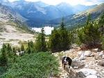 IMG 0294
