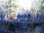IMG 0381