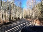 End of Season Run - Eloha River Valley Nov 2019
