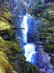 IMG 7651