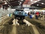 IMG 4781