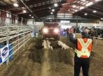 IMG 4795