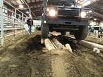 IMG 4798