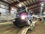 IMG 4802