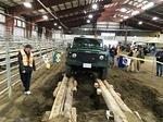 IMG 4814