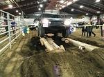 IMG 4859
