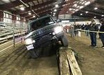 IMG 4861