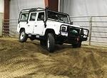 IMG 4917