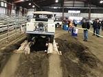 IMG 4941