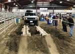 IMG 4952
