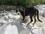 IMG 6967